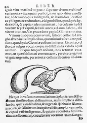 Fles en Ibis, illustratie uit De distillatione door Giambattista della Porta, gepubliceerd in 1610